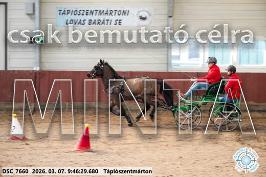 Mintakép 20260307-112