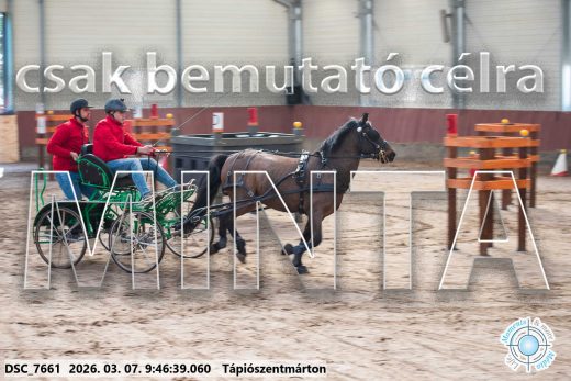 Mintakép 20260307-113