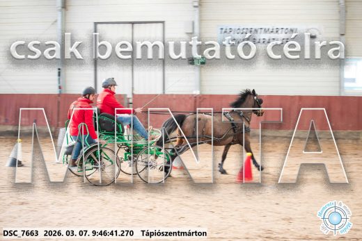 Mintakép 20260307-115