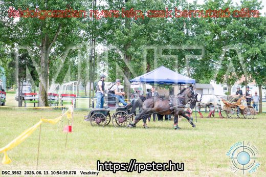 Mintakép 20260613-702