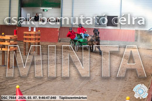 Mintakép 20260307-116