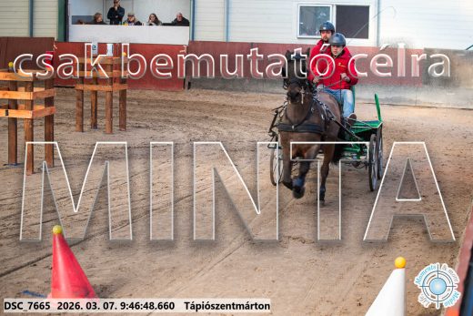 Mintakép 20260307-117
