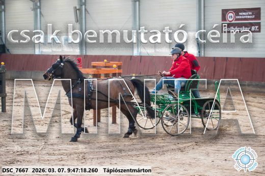 Mintakép 20260307-119