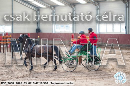 Mintakép 20260307-120