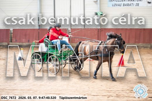 Mintakép 20260307-124