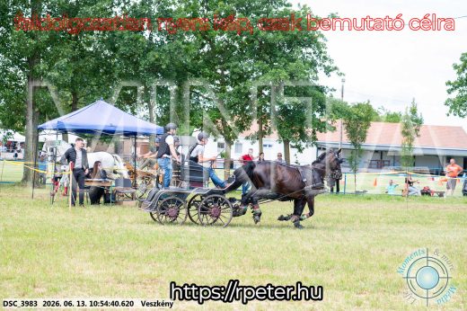 Mintakép 20260613-703