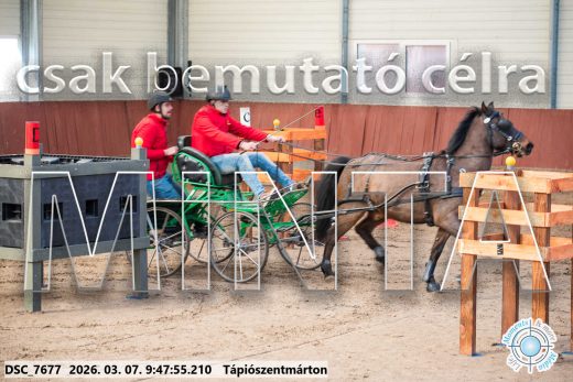 Mintakép 20260307-128