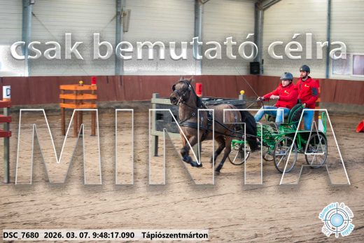 Mintakép 20260307-131