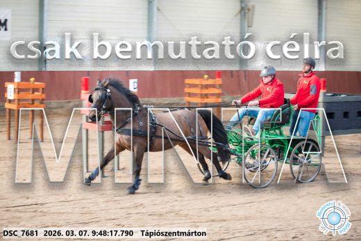 Mintakép 20260307-132