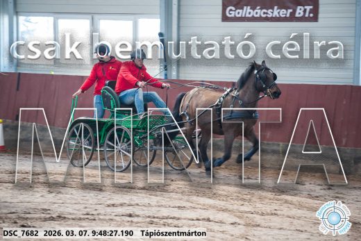 Mintakép 20260307-133