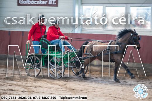 Mintakép 20260307-134