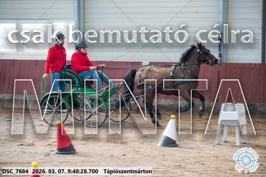 Mintakép 20260307-135