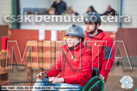 Mintakép 20260307-136
