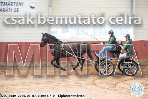 Mintakép 20260307-140