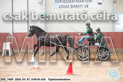 Mintakép 20260307-141