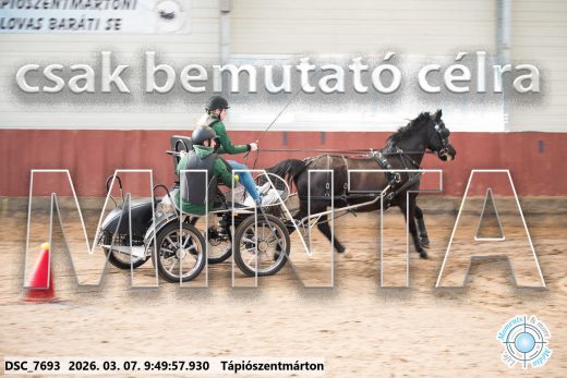 Mintakép 20260307-144