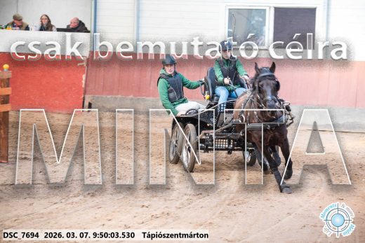Mintakép 20260307-145