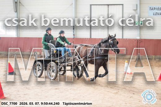 Mintakép 20260307-149