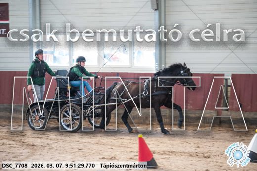 Mintakép 20260307-157