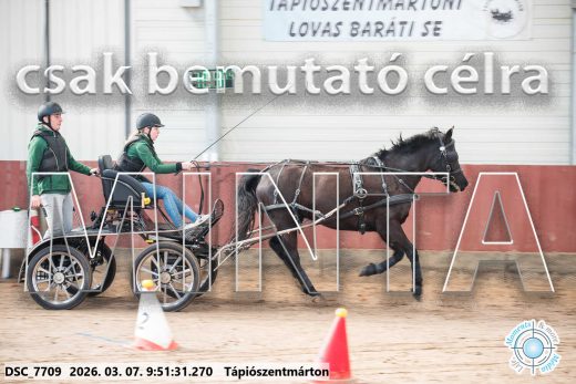 Mintakép 20260307-158