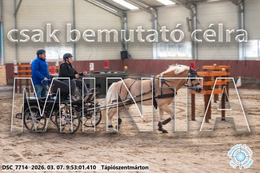 Mintakép 20260307-163