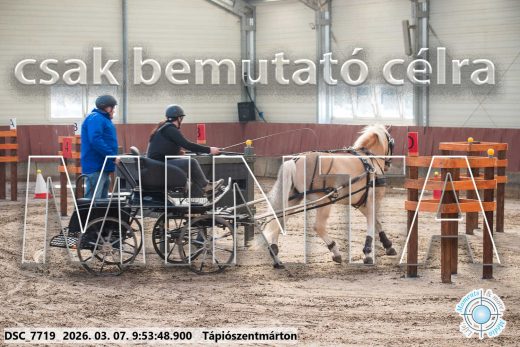 Mintakép 20260307-168