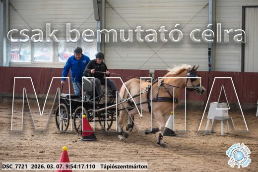 Mintakép 20260307-170