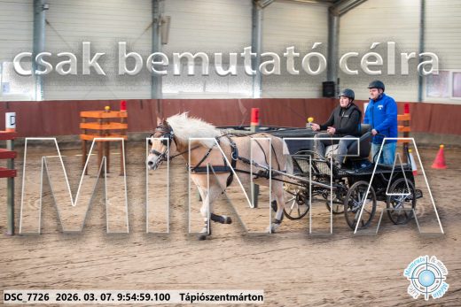 Mintakép 20260307-173