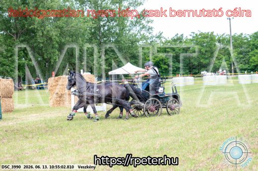 Mintakép 20260613-708