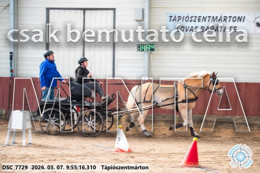 Mintakép 20260307-176