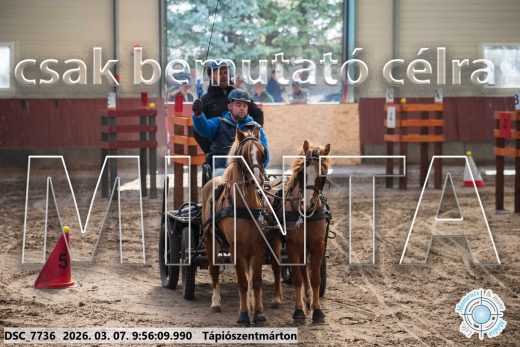 Mintakép 20260307-182