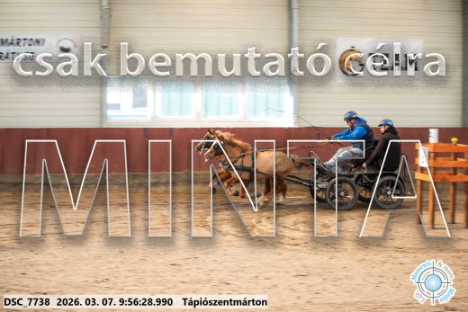 Mintakép 20260307-184