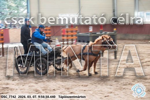 Mintakép 20260307-188