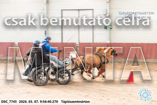 Mintakép 20260307-191