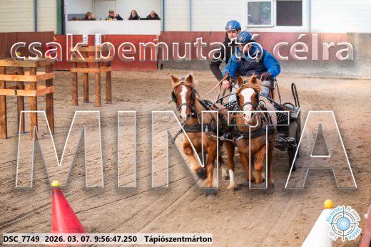 Mintakép 20260307-194