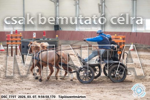 Mintakép 20260307-196