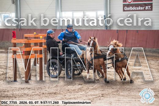 Mintakép 20260307-198