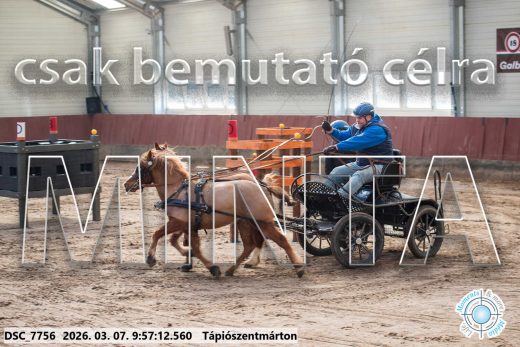 Mintakép 20260307-199