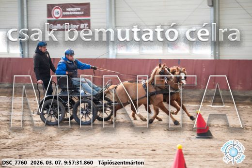Mintakép 20260307-201