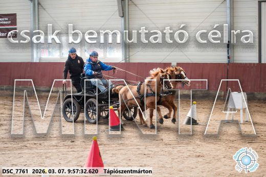 Mintakép 20260307-202