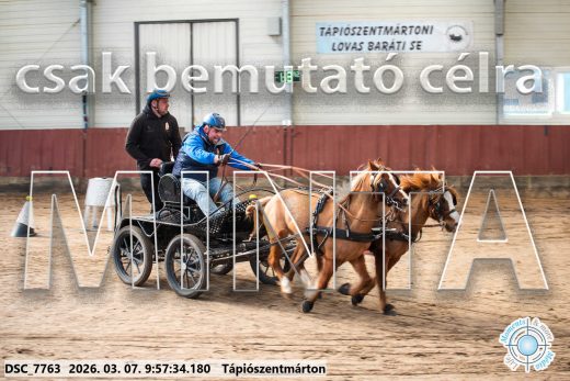 Mintakép 20260307-204