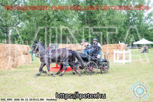 Mintakép 20260613-711