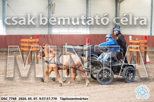 Mintakép 20260307-208