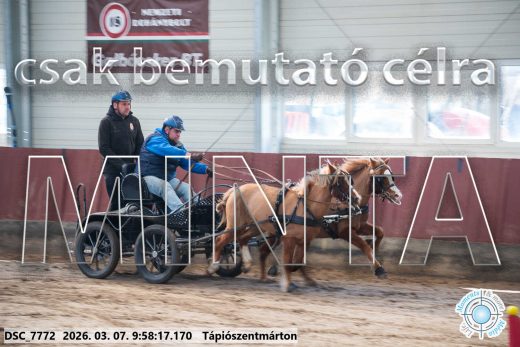Mintakép 20260307-212