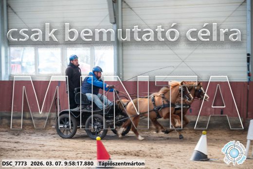 Mintakép 20260307-213