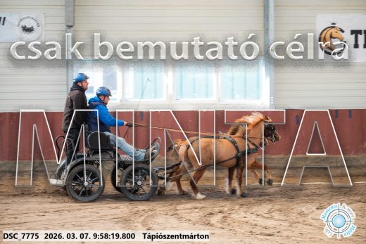 Mintakép 20260307-215