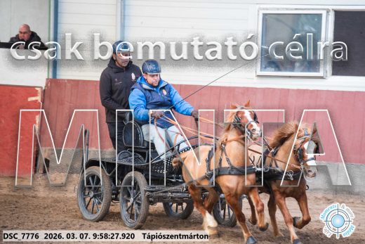 Mintakép 20260307-216