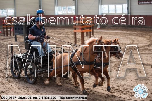 Mintakép 20260308-2