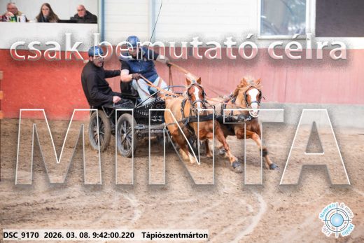 Mintakép 20260308-5