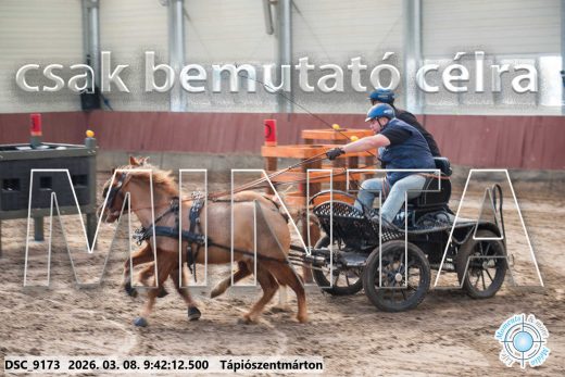 Mintakép 20260308-6